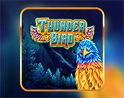 Thunder Bird
